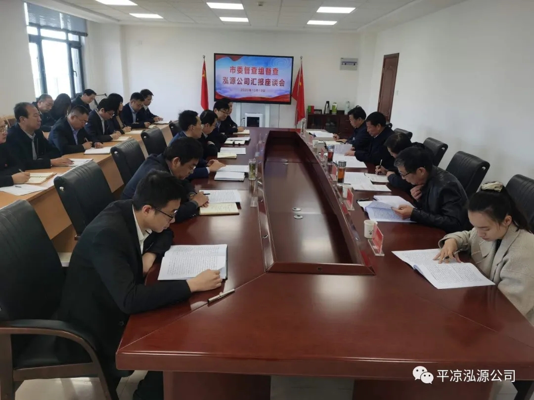 市委辦公室、市政府國資委督查泓源公司工作(圖4)